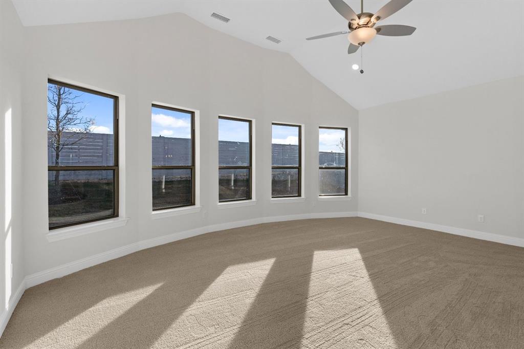 Painted Tree - Residential