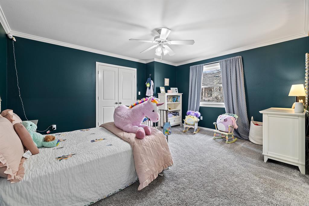 Holly Star - Residential