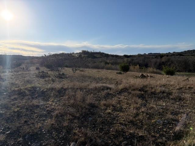 2220 Canyon Wren Loop