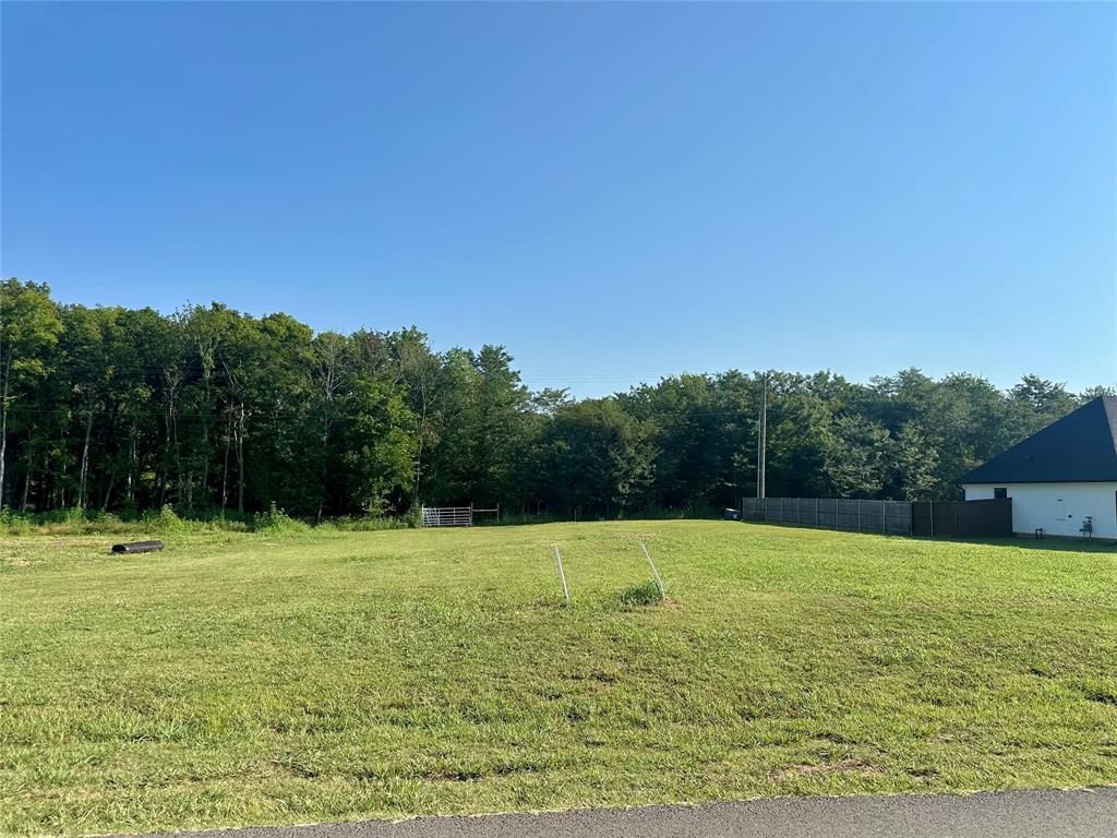 Duckwater Landing - Land