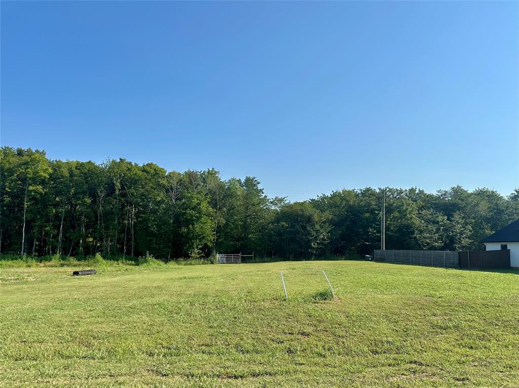 Duckwater Landing - Land