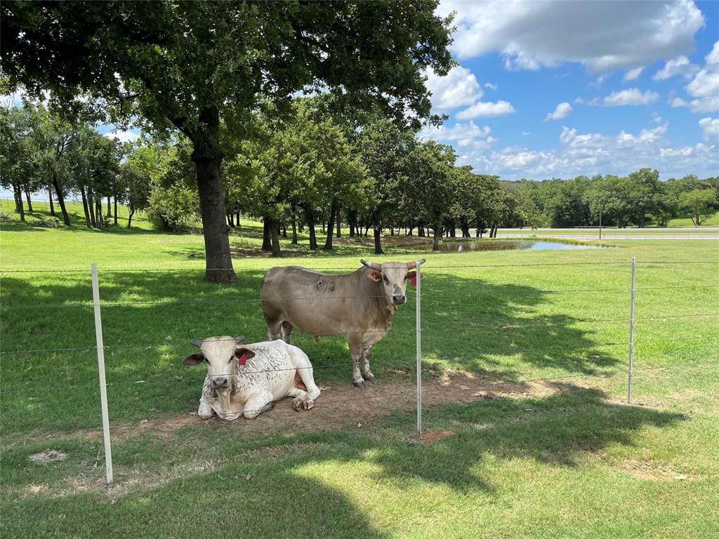 EDMISTON S 0348 - Farm