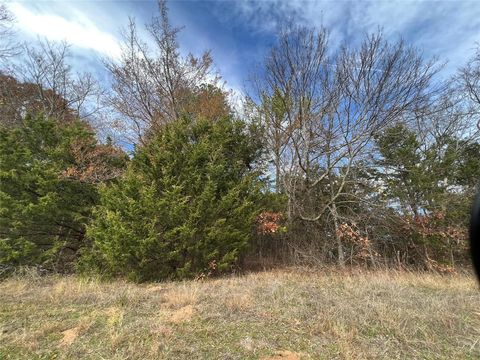 TBD State Highway 64 Highway Ben Wheeler TX 75754