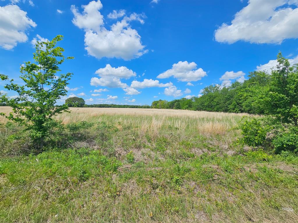 Lot 1 CR 3609