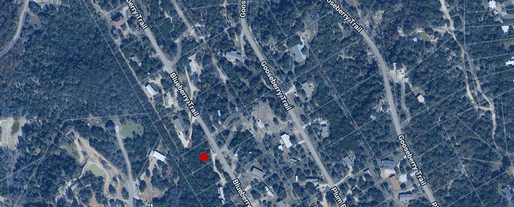 3509 Blueberry Trail