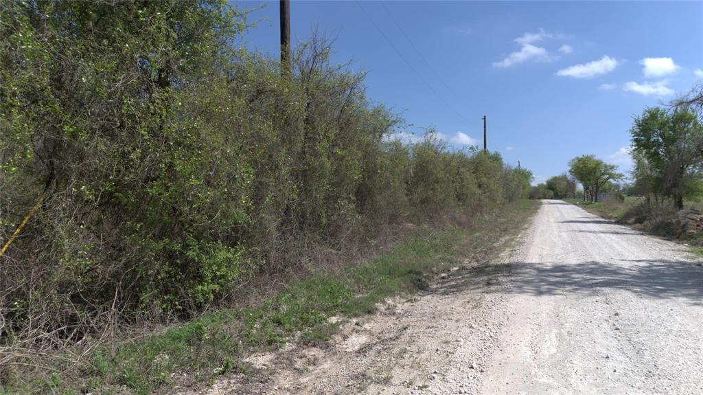 Sara Cook Surv Abs # 1043 - Land