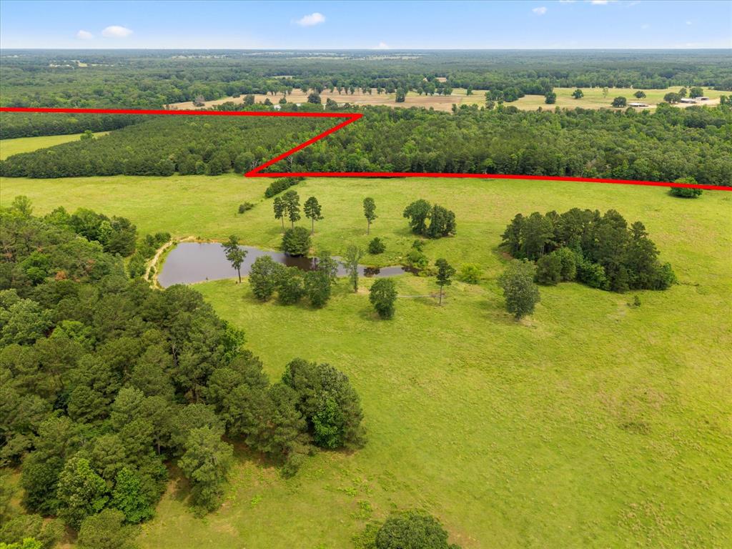 JW WEAVER ABST - Land