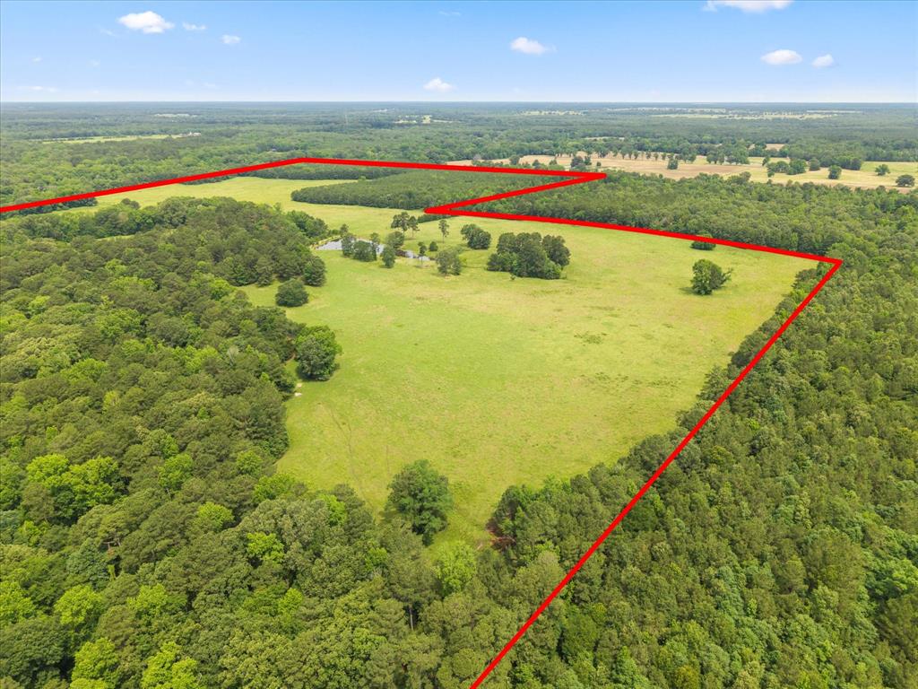 JW WEAVER ABST - Land