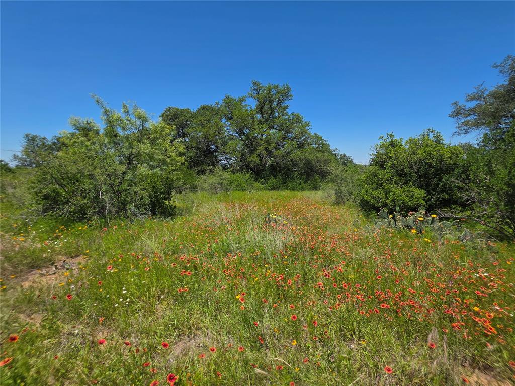 13915 County Road 237