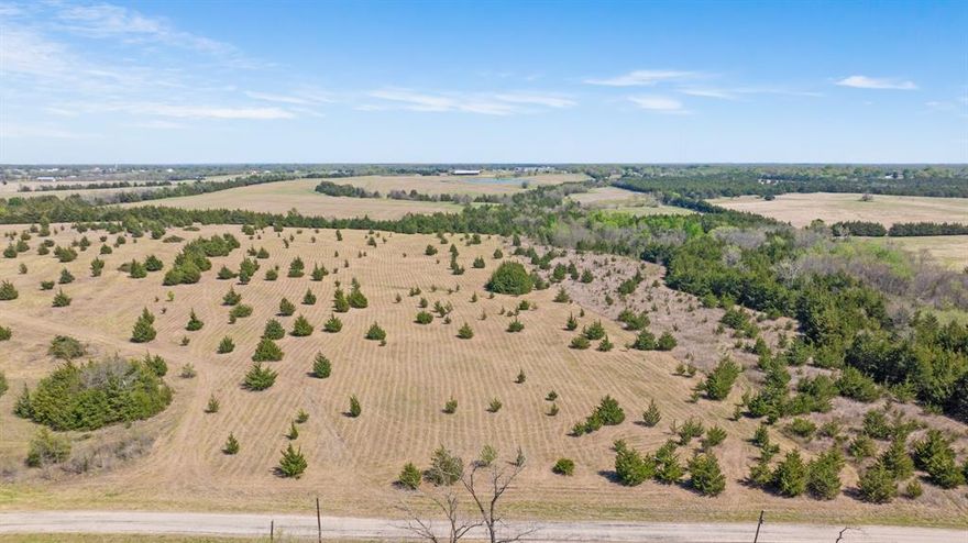 Looking for the perfect place to build your dream home? This beautiful 6.75± acre tract offers the ideal blend of privacy, space, and convenience. Located just off FM 195 on CR 43380, you’ll enjoy a peaceful country setting while still being only minutes from the Loop.

This property provides plenty of room for your custom home, shop, or outdoor living space—giving you the freedom to create exactly what you’ve been envisioning. Light deed restrictions will be put in place to help protect your investment while still allowing flexibility for your plans.

Whether you're ready to build now or looking for a smart land investment, this tract offers endless potential in a great location. Bring your home plans and turn this property into your own private retreat!