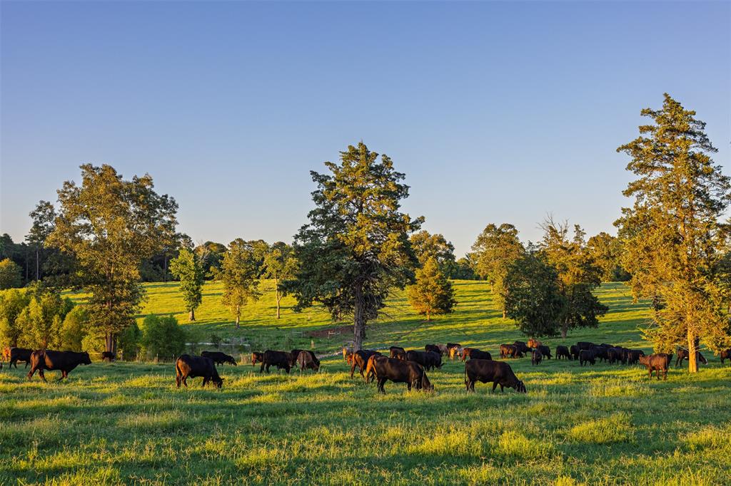 00 County Road 373