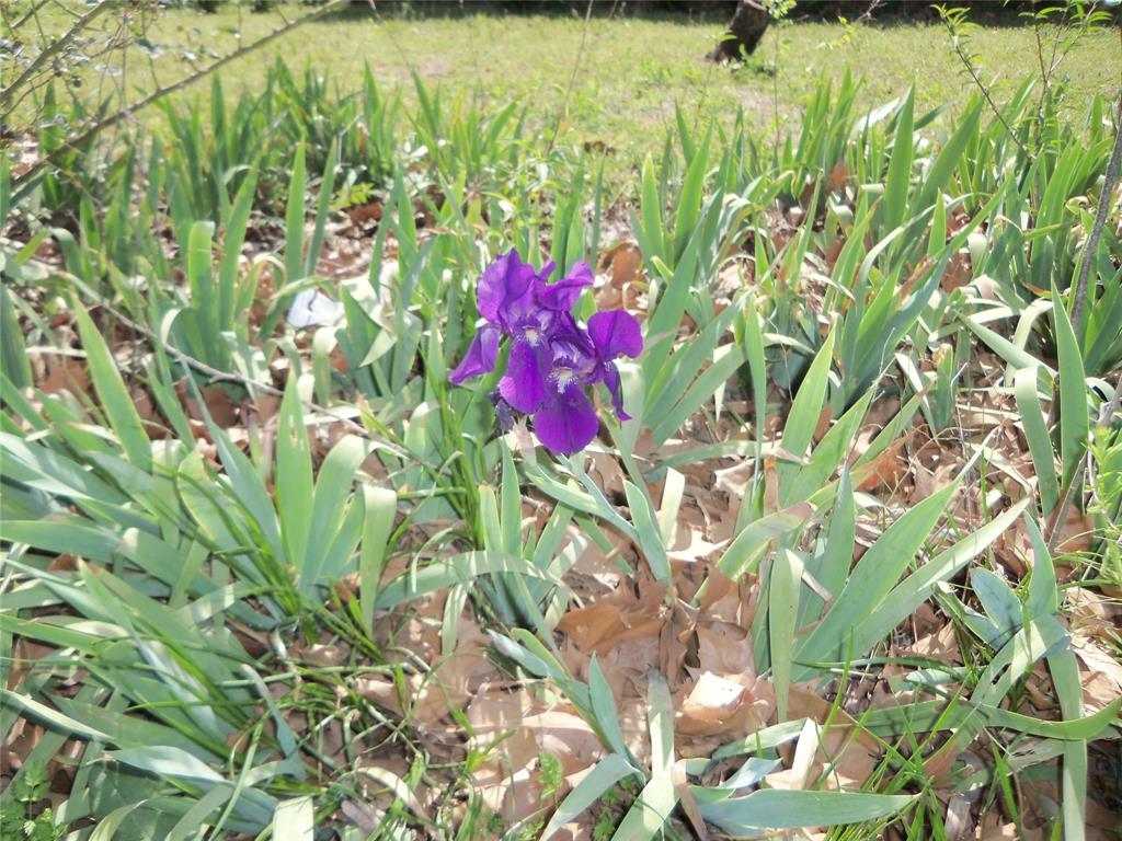 Hubbard Ot - Residential