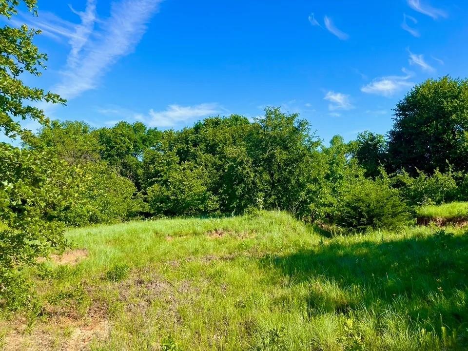 Lot 53 Wicklow Court