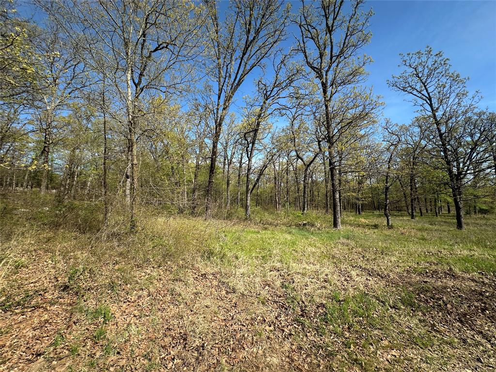 0000 County Road 3641