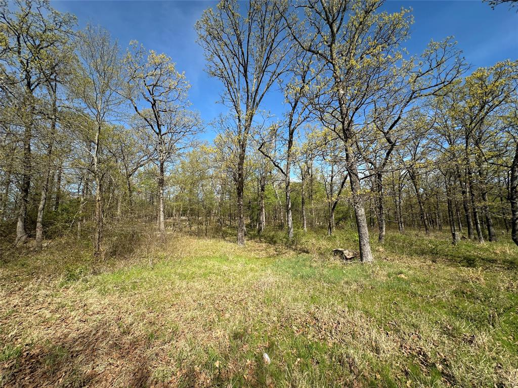 0000 County Road 3641