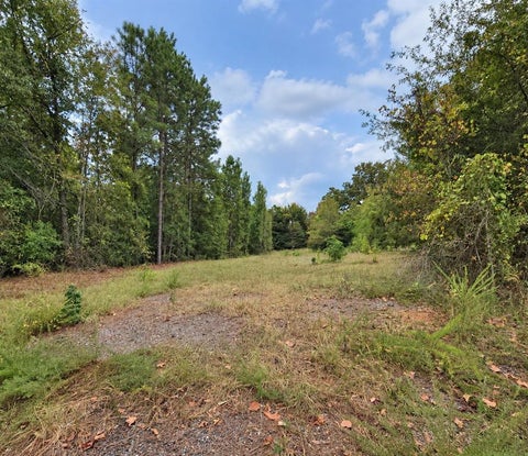 Photo of 0 Ferguson Road, Harleton, TX 75651 (MLS # 21393352)