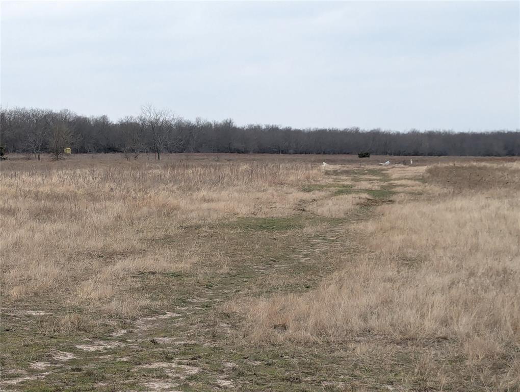 A0342&A0828 PETERS L - Land