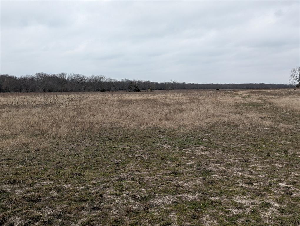 A0342&A0828 PETERS L - Land