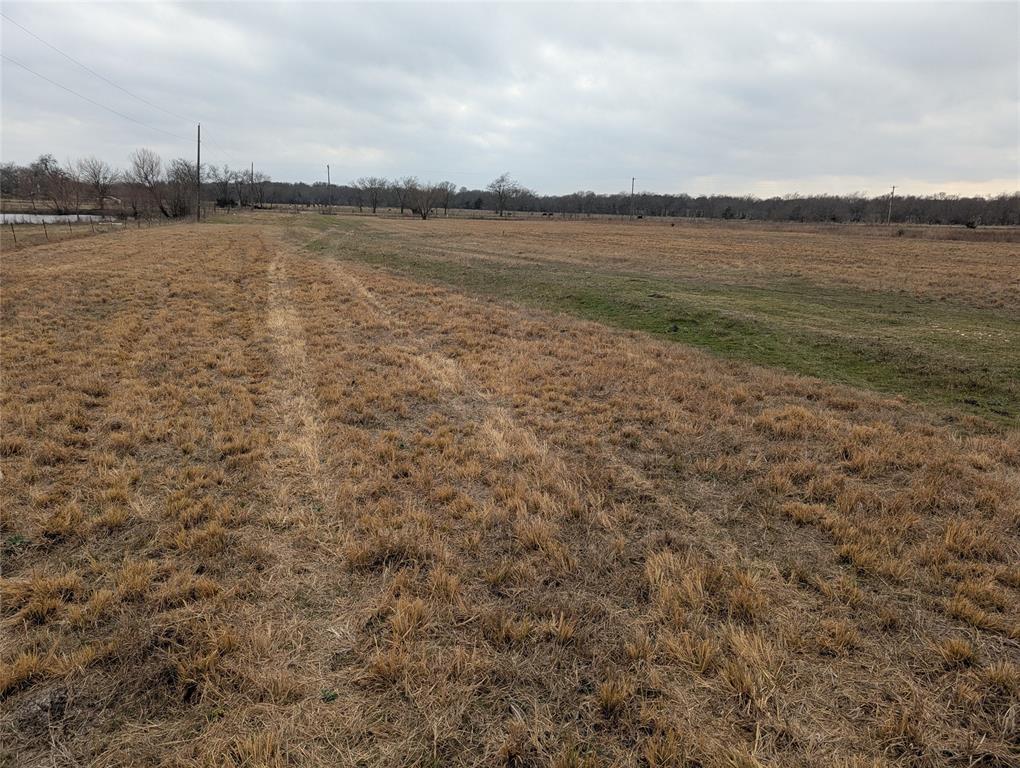 A0342&A0828 PETERS L - Land