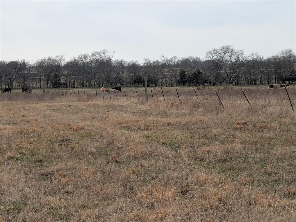 A0342&A0828 PETERS L - Land