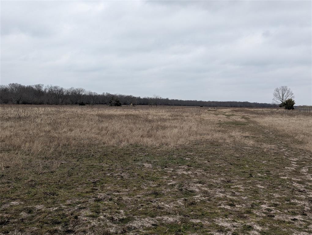 A0342&A0828 PETERS L - Land