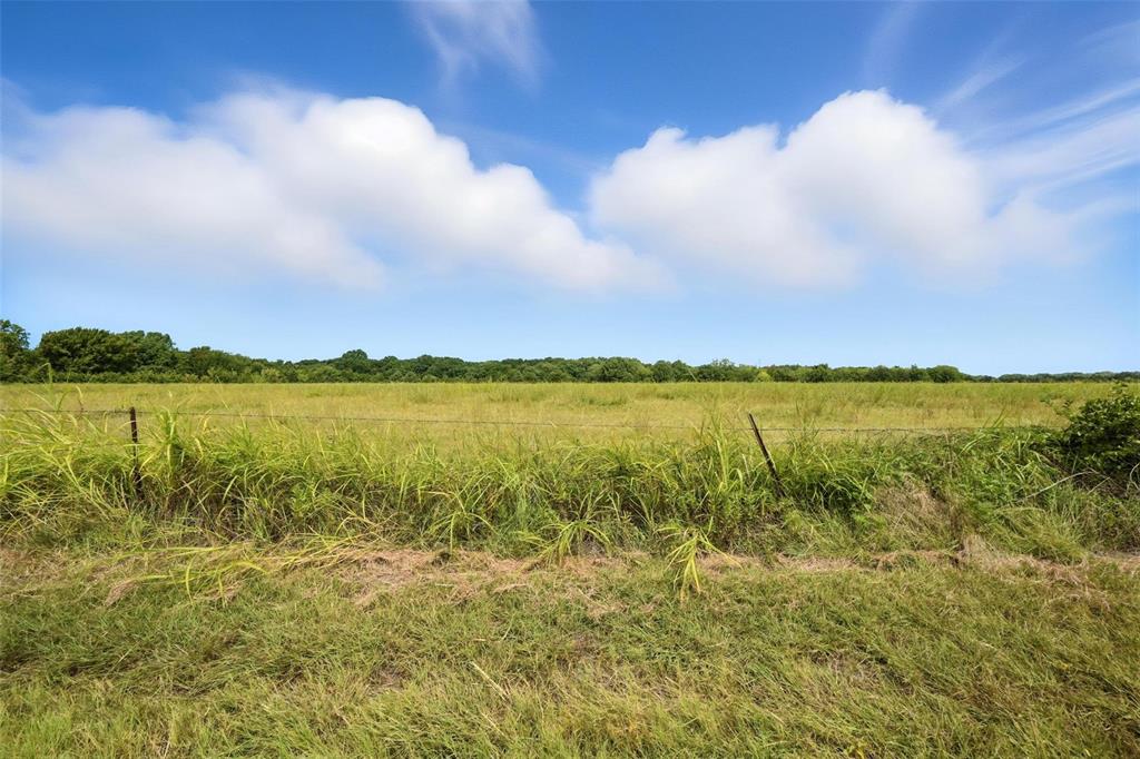 Mi Gemnez Surv Abs #338 - Land