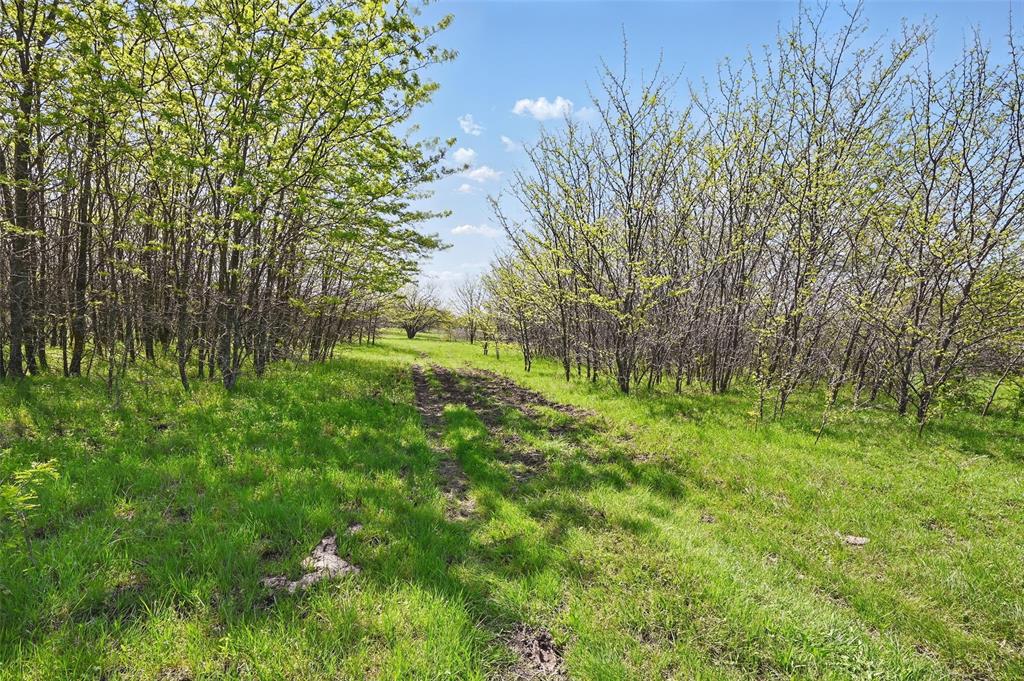 Mason Robert & HRS - Land