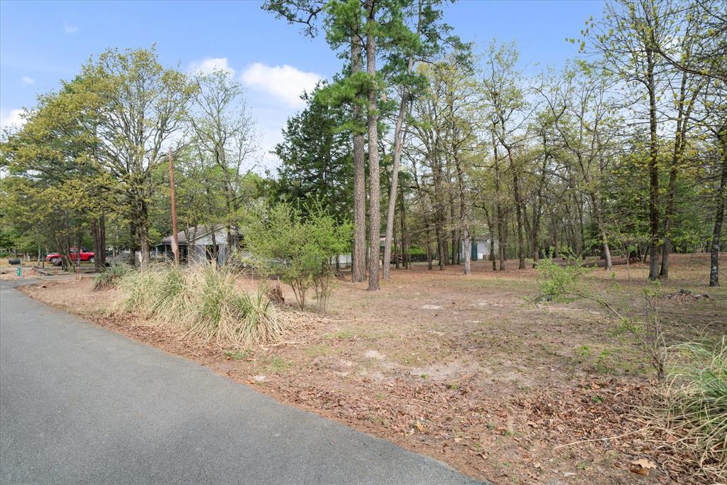 Holly Lake Ranch - Residential