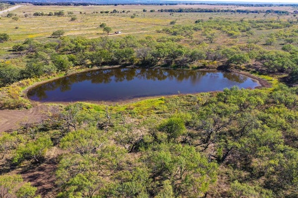 54.53 ACRES HWY 199 ROAD, JACKSBORO, TX 76458 - Image 5bfb1ea61c47c783bd1daa95b1fbea10/3235969078