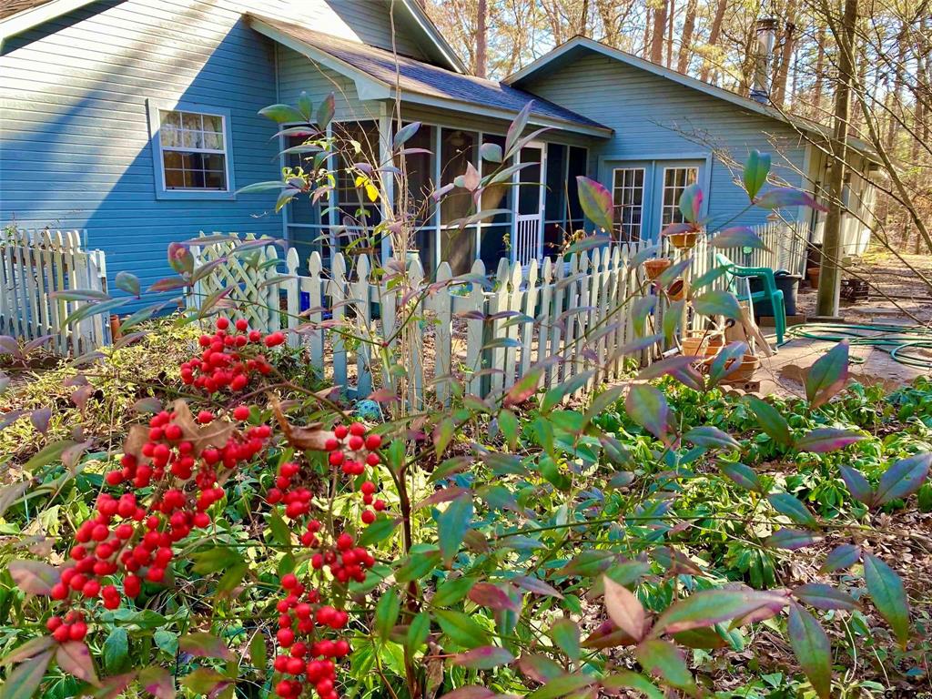 257 County Road 4597
