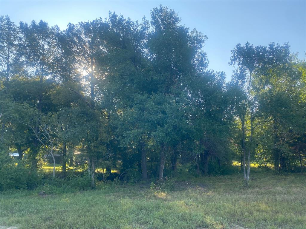 CEDAR-Lake Mexia Cedar - Residential