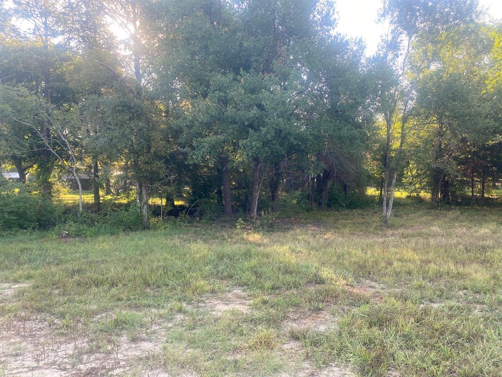 CEDAR-Lake Mexia Cedar - Residential