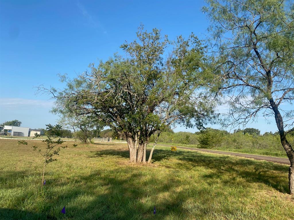 CEDAR-Lake Mexia Cedar - Residential
