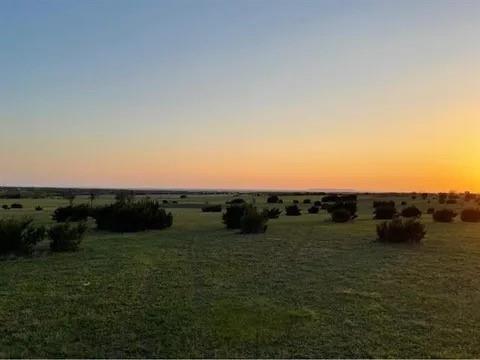 Lanzara Estates - Land