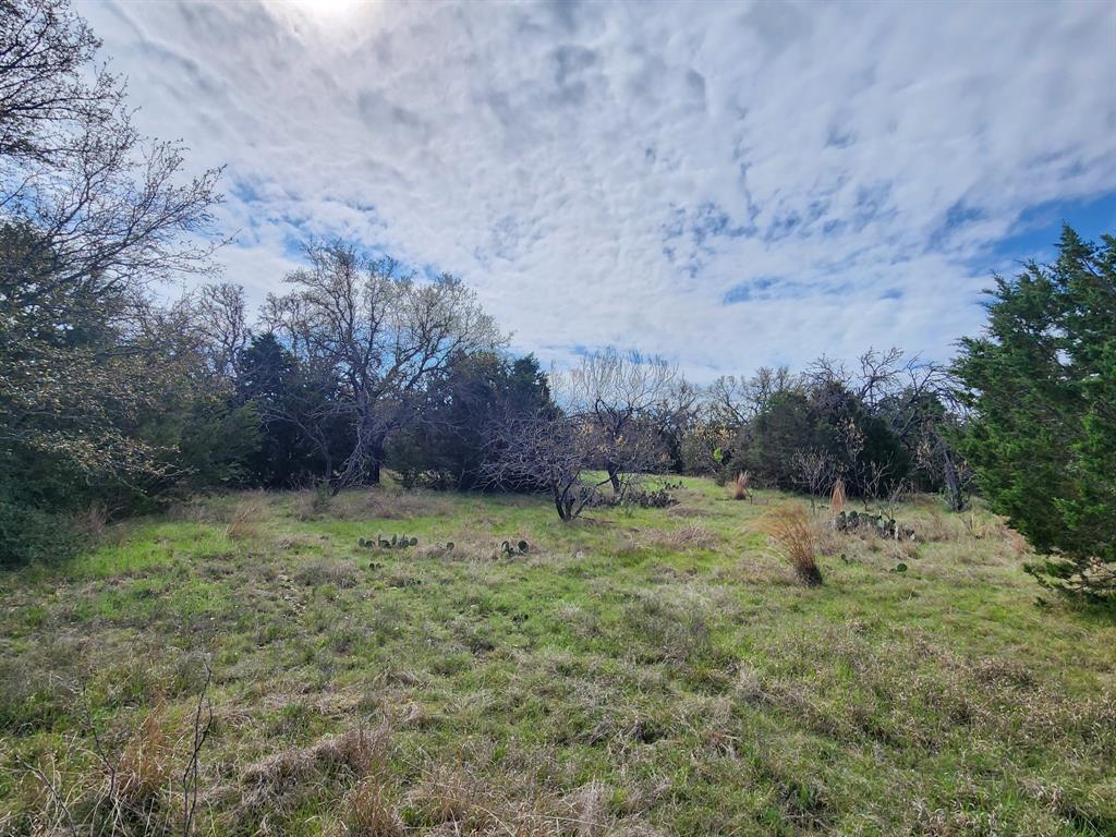 400 Blackjack Oak Drive