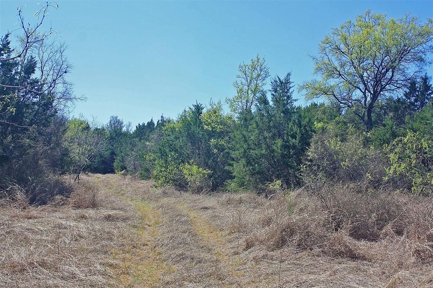 TWO 10-ACRE TRACTS being sold together!  Thick tree coverage throughout most of property. Electricity is available. A water well is needed for a water source. Tucked away from the highways, this land has great privacy.  Only about 15 minutes to Glen Rose, with many recreational activities, and the historic square.  About  20 minutes to Cleburne, and Lake Pat Cleburne, Cleburne State Park, and lots of shopping and dining.  Property has a Cleburne address, in Hood County, and included in the excellent Glen Rose ISD!  The 2-10 acre tracts ADDRESSES  are 5272 & 5274 FM 2174, Cleburne, TX 76033.