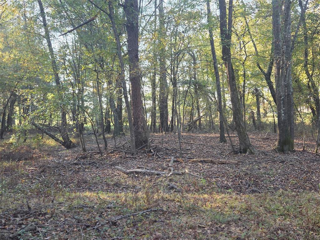 Joshua Bowerman Hr Surv Abs #5 - Land