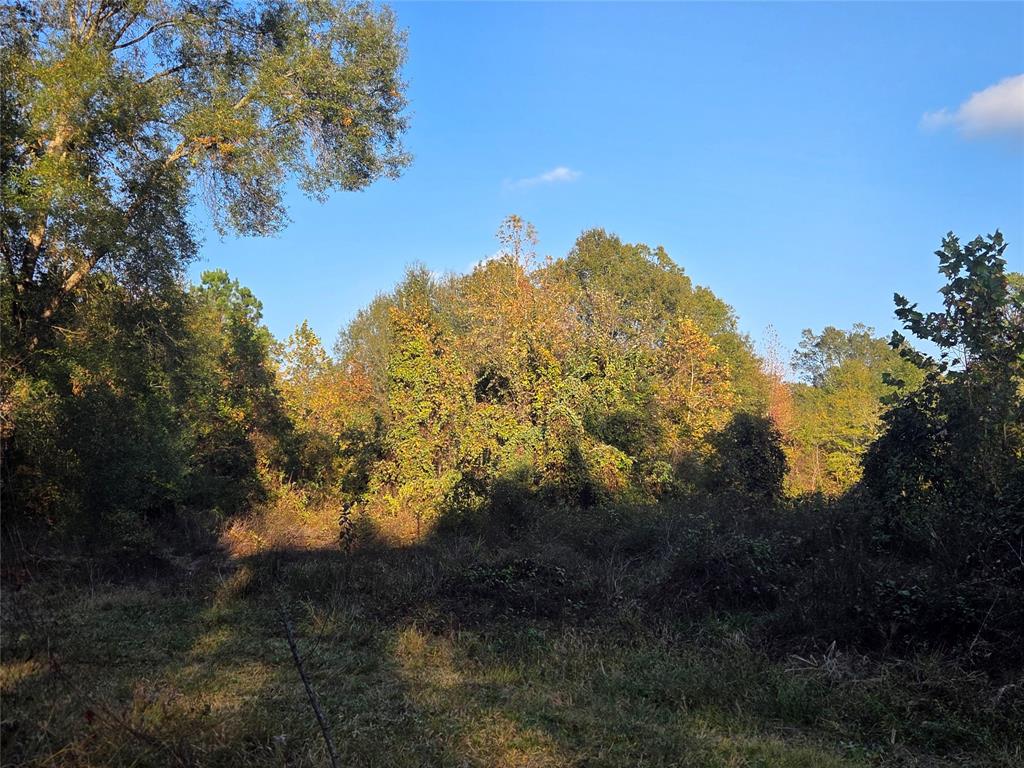 Joshua Bowerman Hr Surv Abs #5 - Land