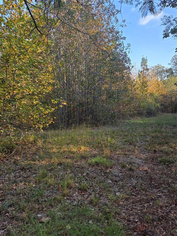 Joshua Bowerman Hr Surv Abs #5 - Land