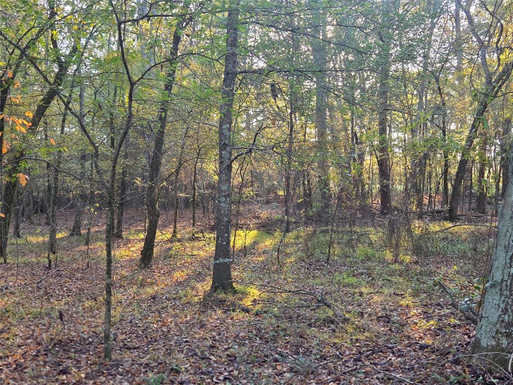 Joshua Bowerman Hr Surv Abs #5 - Land