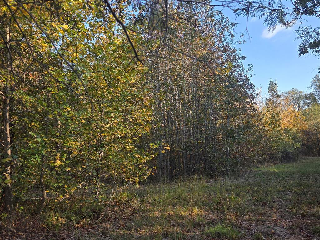 Joshua Bowerman Hr Surv Abs #5 - Land