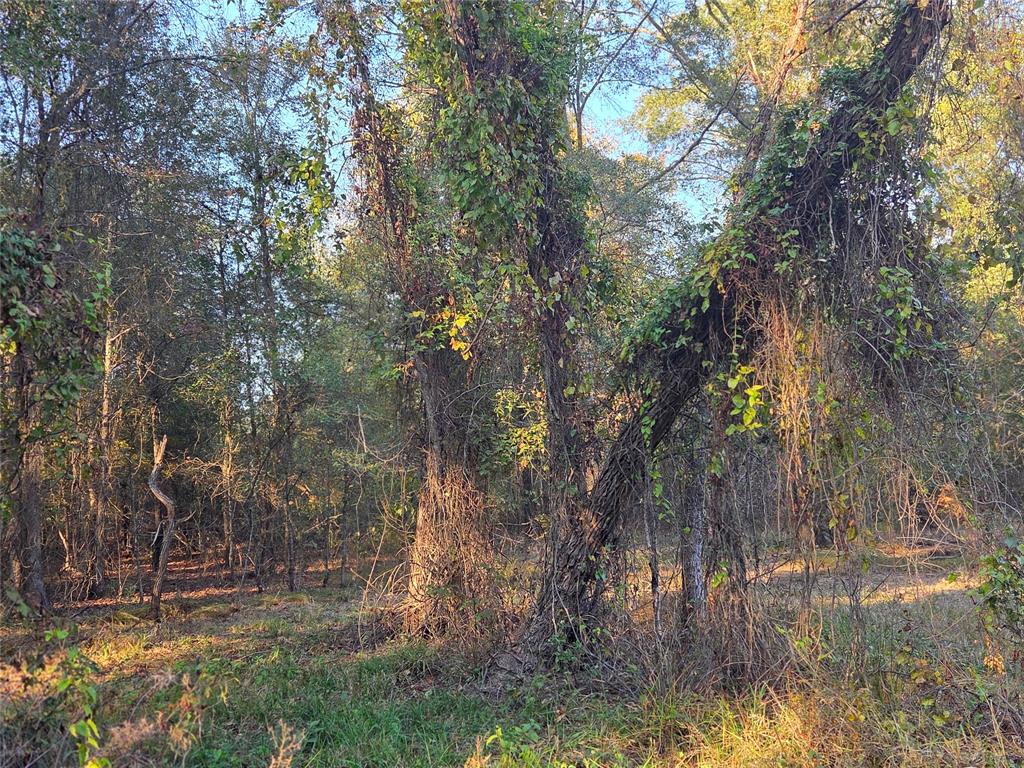 Joshua Bowerman Hr Surv Abs #5 - Land