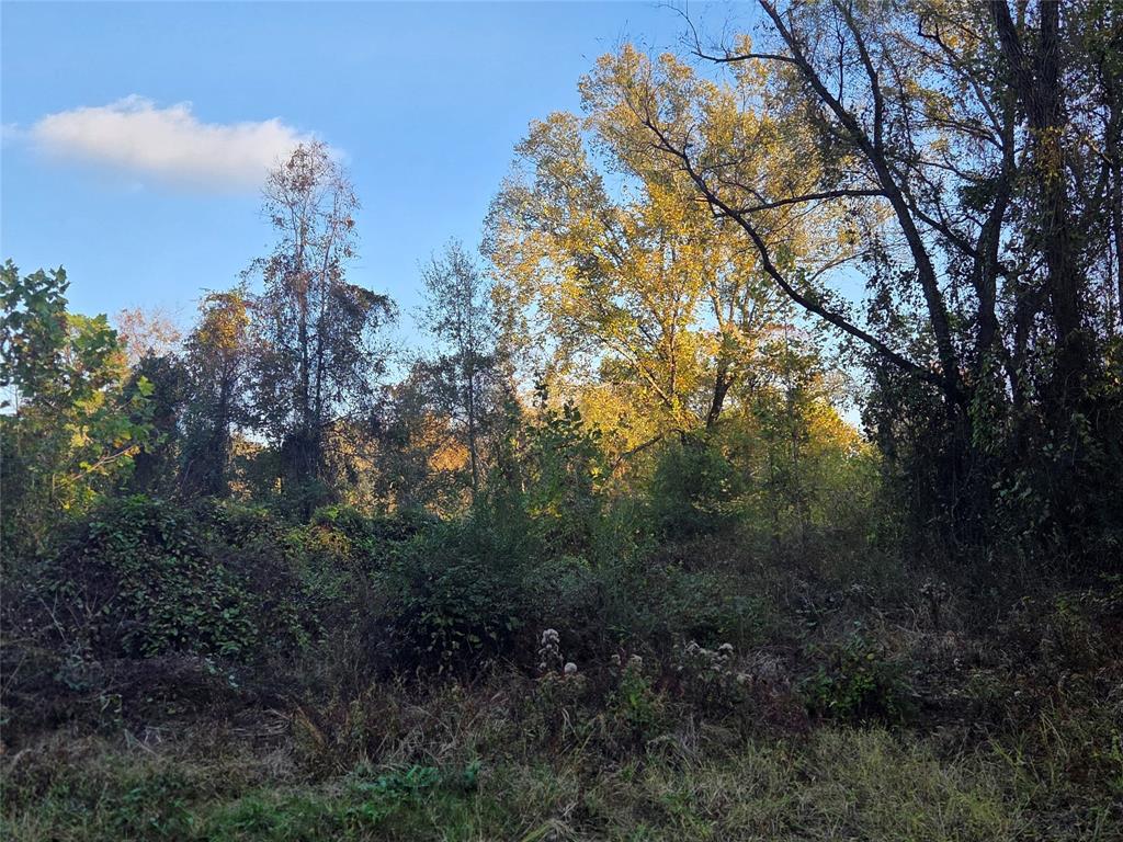 Joshua Bowerman Hr Surv Abs #5 - Land