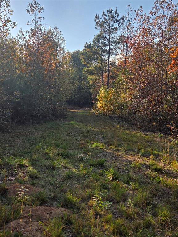 Joshua Bowerman Hr Surv Abs #5 - Land