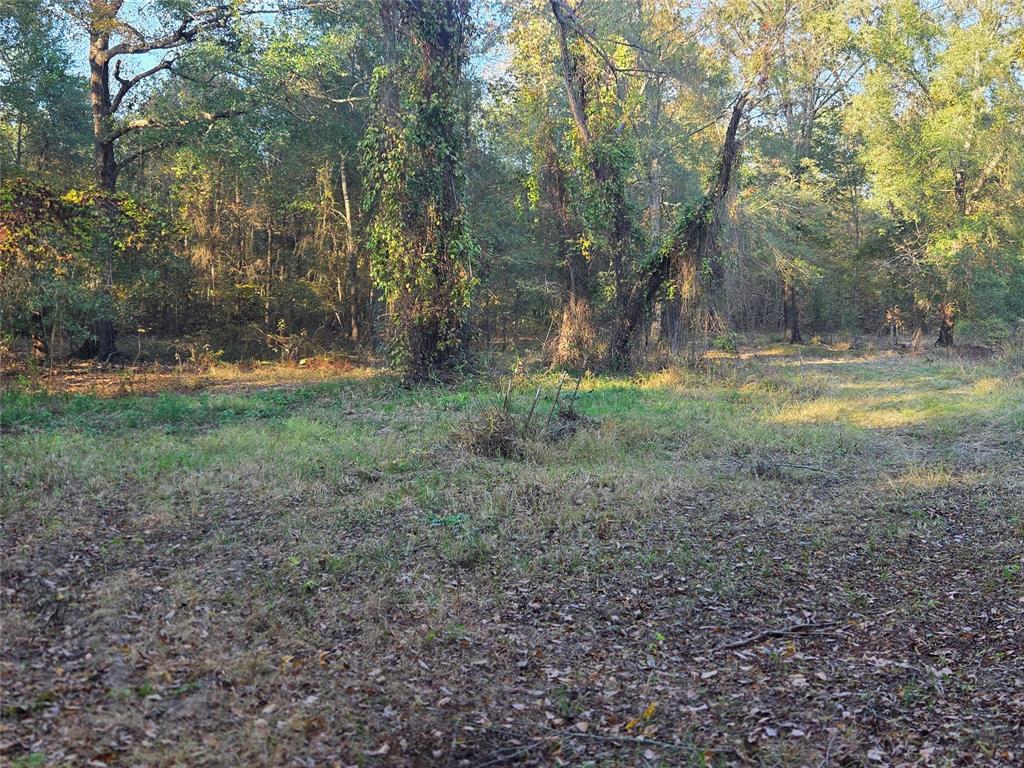 Joshua Bowerman Hr Surv Abs #5 - Land