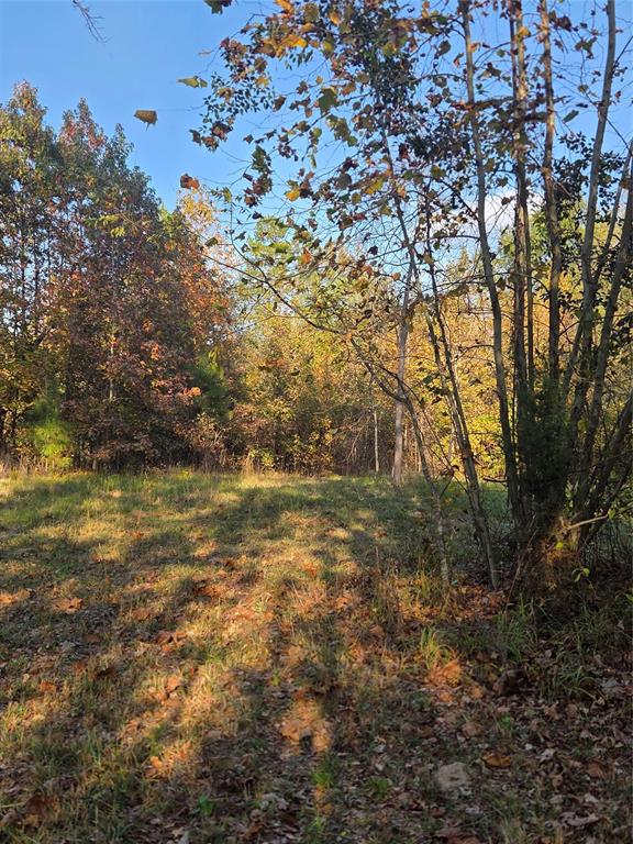 Joshua Bowerman Hr Surv Abs #5 - Land