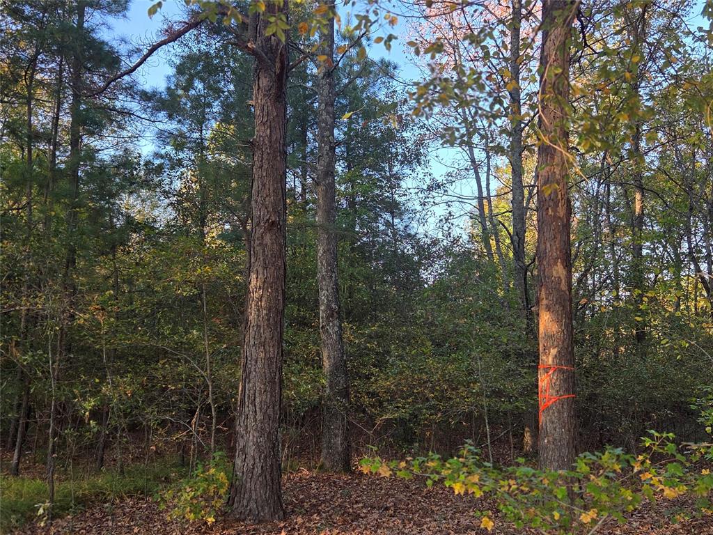 Joshua Bowerman Hr Surv Abs #5 - Land