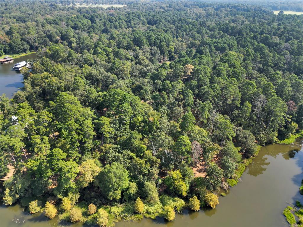 East Side Lake Tyler - Land