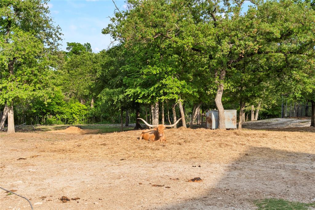 Cisco Creek Estates - Residential