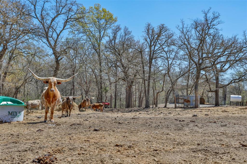 Cisco Creek Estates - Residential